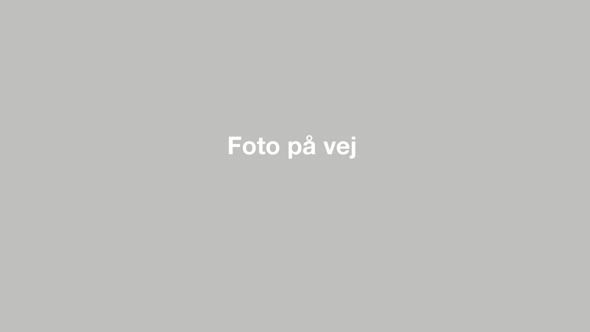 Fotogalleri